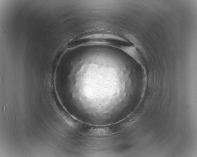 X0000068810449200605081124