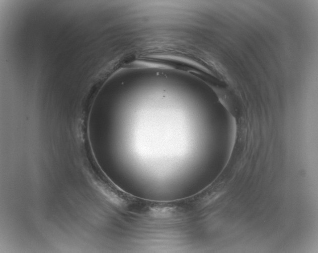 X0000068810450200605081124