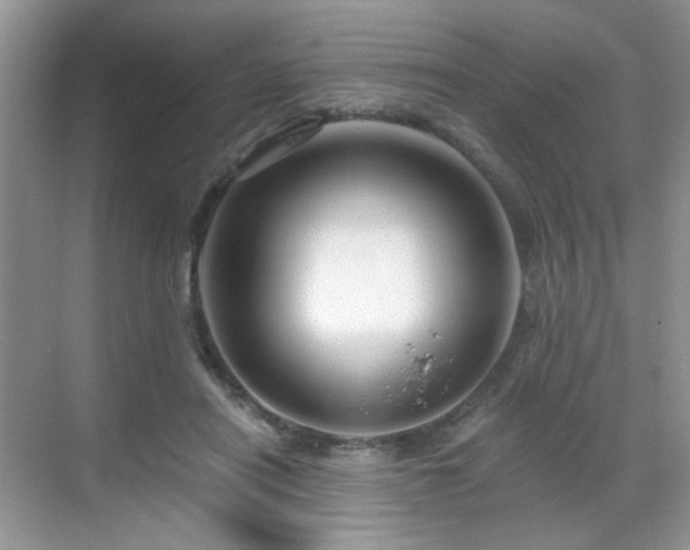 X0000068810454200605081124