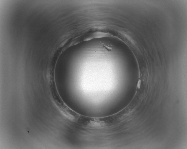 X0000068810455200605081124