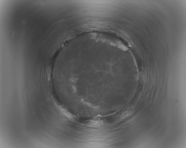 X0000068810458200605081124