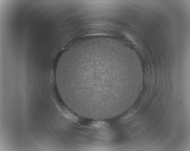 X0000068810459200605081124