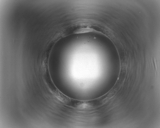 X0000068810460200605081124