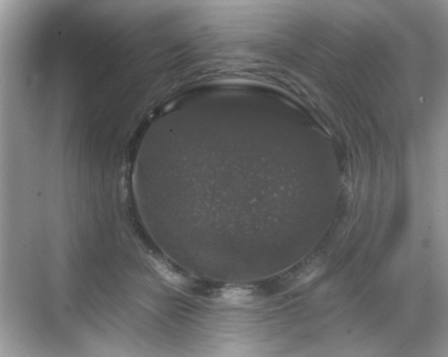 X0000068810462200605081124