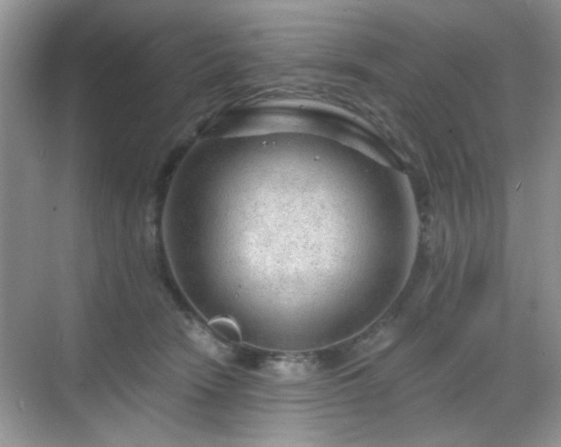 X0000068810466200605081124