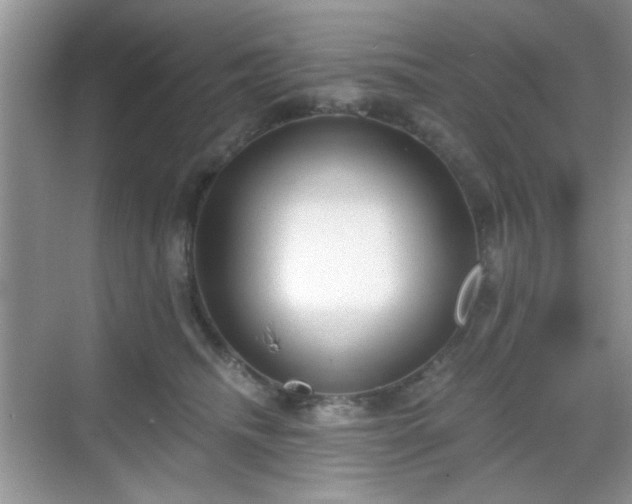 X0000068810468200605081124