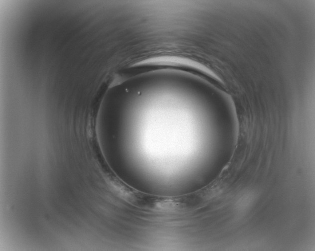 X0000068810470200605081124