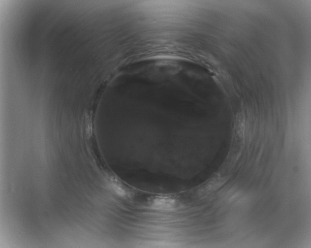 X0000068810471200605081124