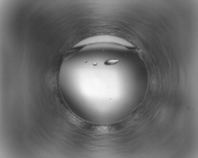 X0000068810473200605081124