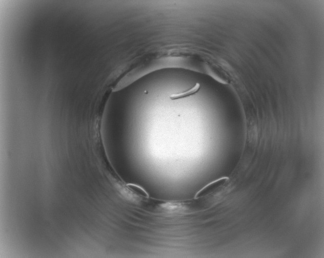 X0000068810477200605081124