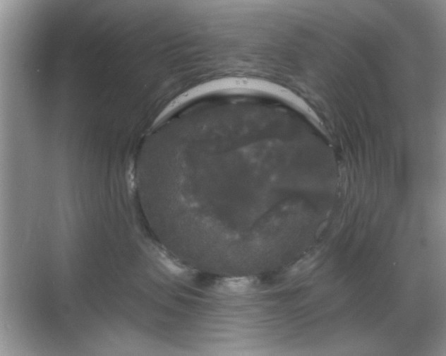 X0000068810479200605081124