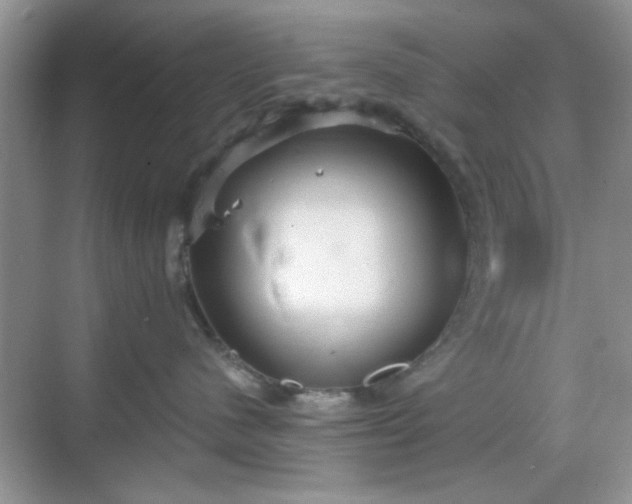 X0000068810480200605081124