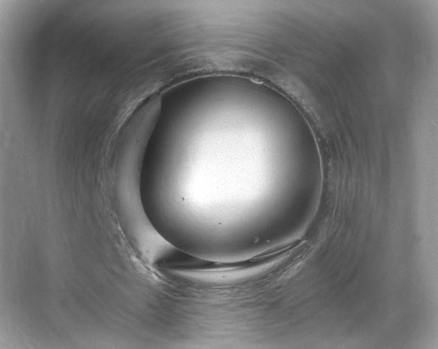 X0000068810481200605081123