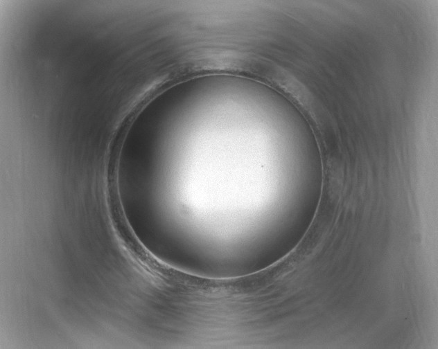 X0000068810482200605081123