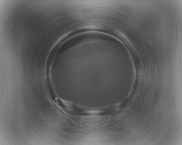 X0000068810484200605081123