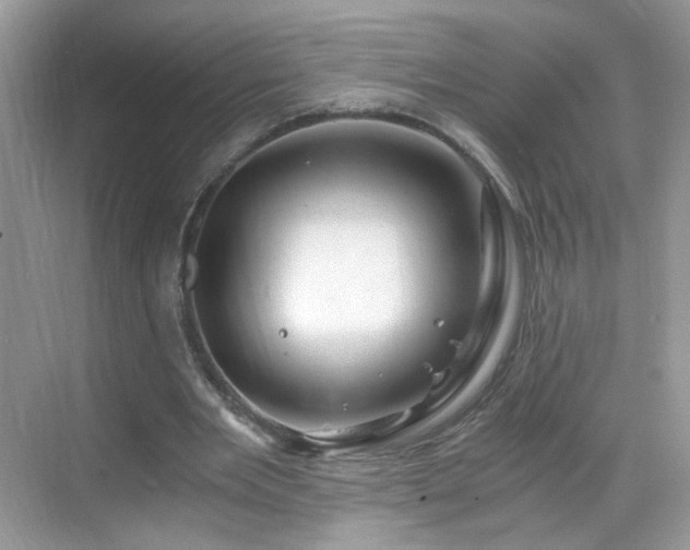 X0000068810485200605081123