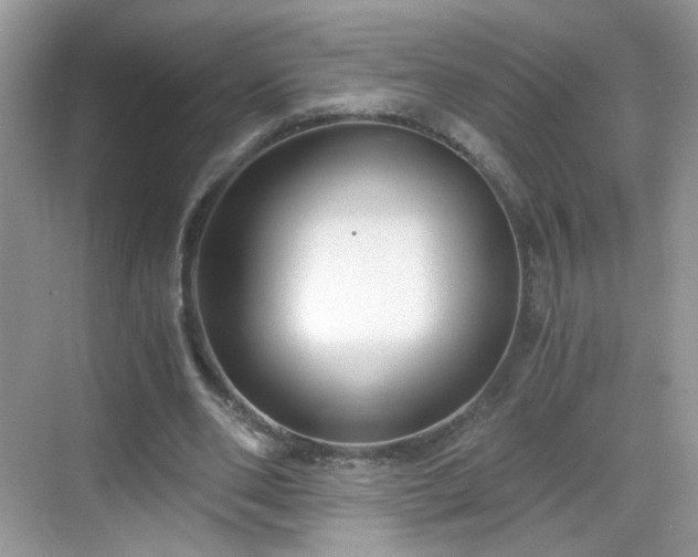 X0000068810486200605081123