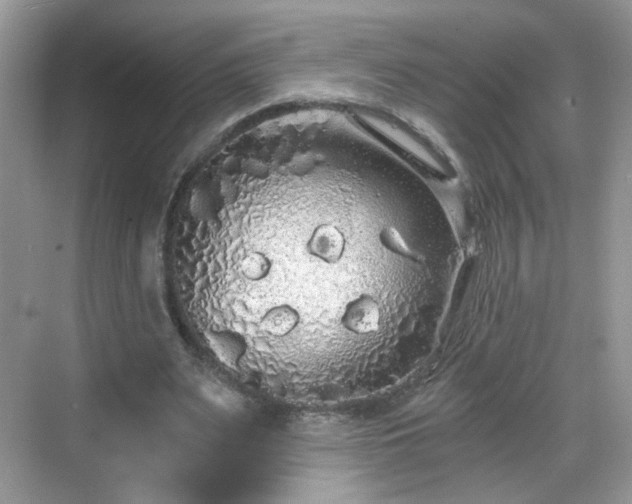 X0000068810487200605081123