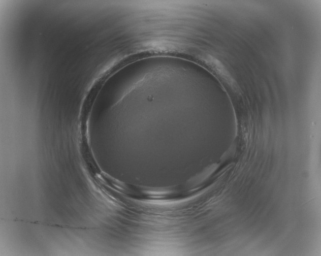 X0000068810488200605081123