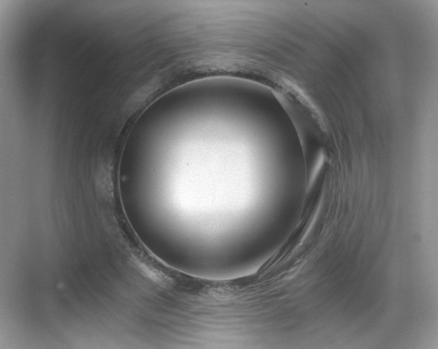 X0000068810489200605081123