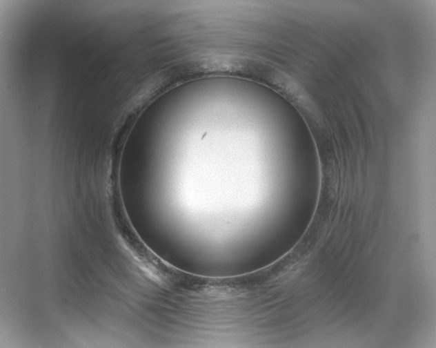 X0000068810490200605081123