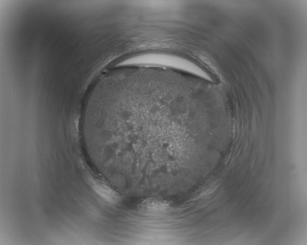 X0000068810491200605081123