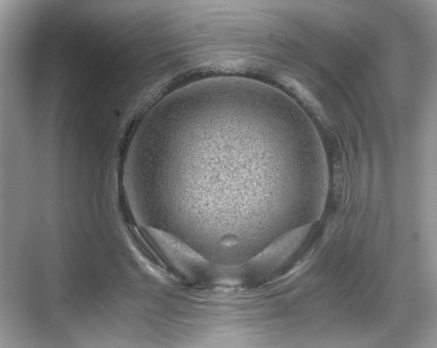 X0000068810493200605081123