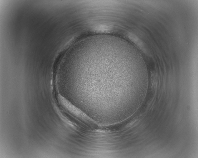 X0000068810494200605081123