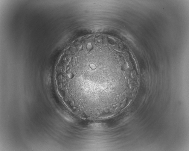 X0000068810499200605081123