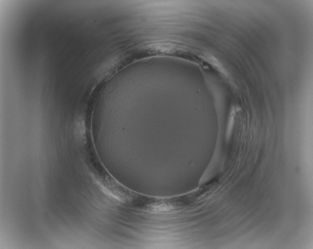 X0000068810500200605081123