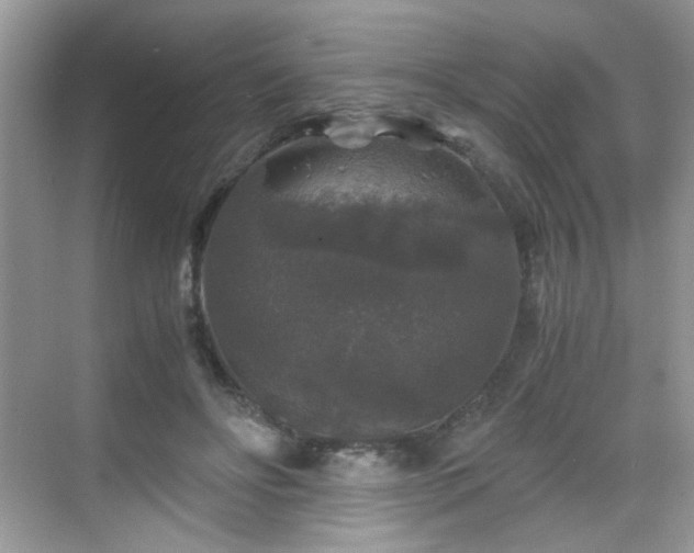 X0000068810502200605081123