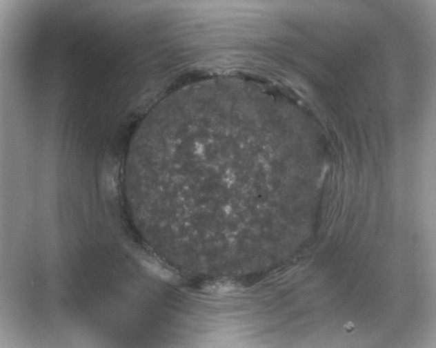 X0000068810503200605081123