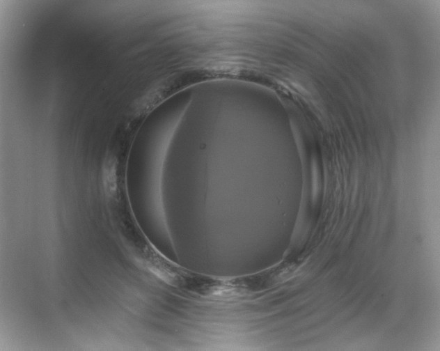 X0000068810504200605081123