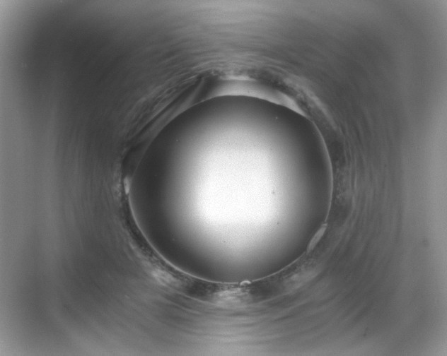 X0000068810505200605081123