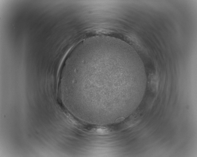 X0000068810506200605081123