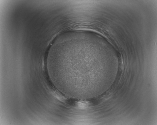 X0000068810508200605081123