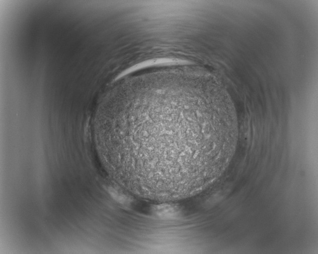 X0000068810511200605081123