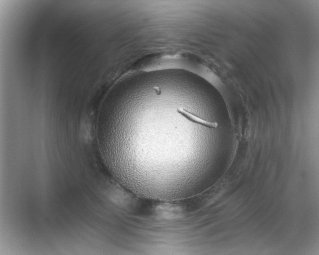 X0000068810515200605081123