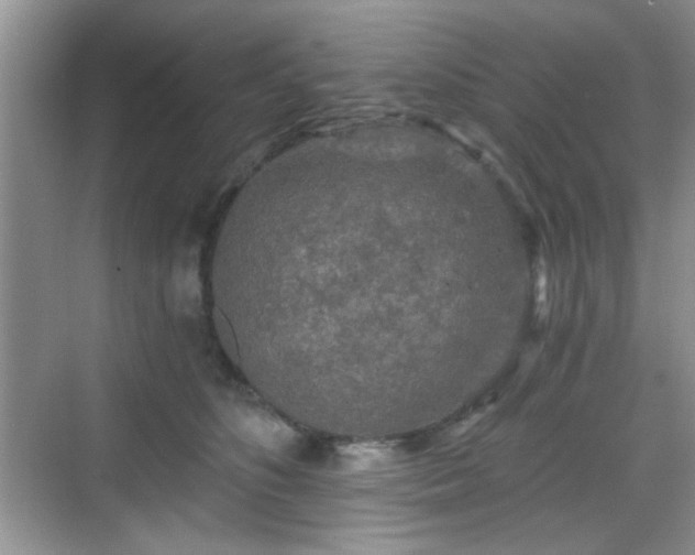 X0000068810516200605081123