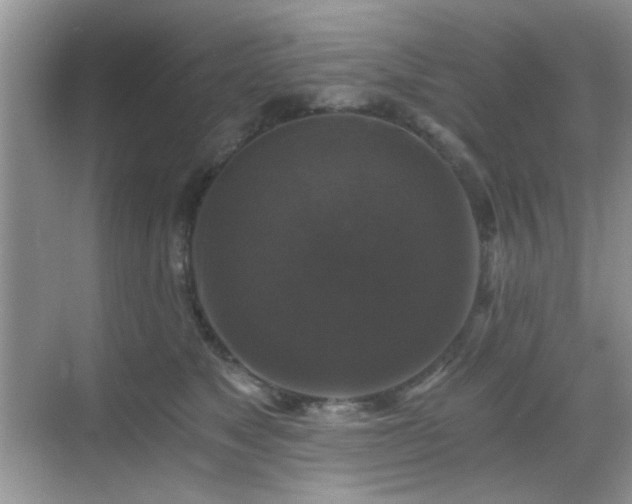 X0000068810517200605081123