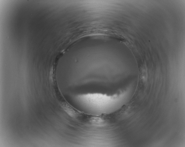 X0000068810519200605081123