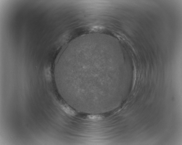 X0000068810520200605081123