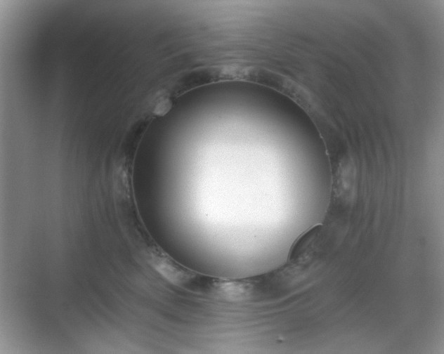 X0000068810522200605081123