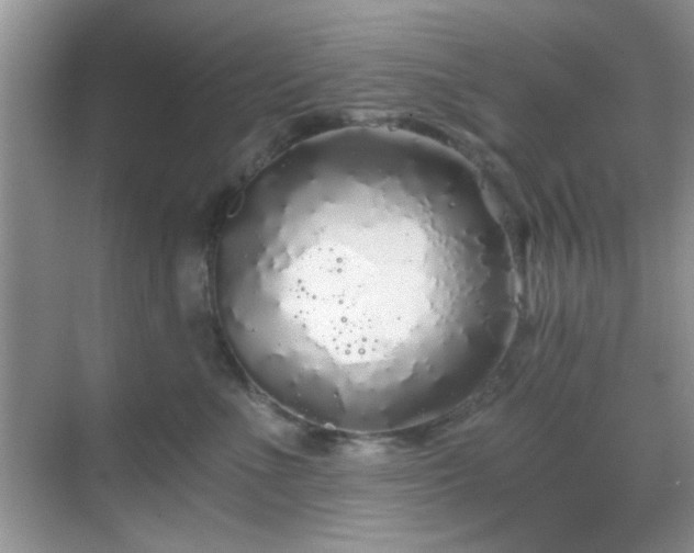 X0000068810523200605081123