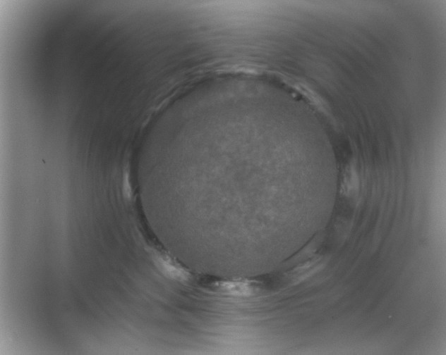 X0000068810524200605081123