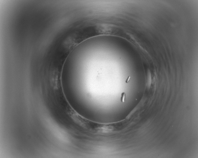 X0000068810525200605081123