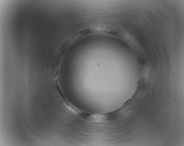 X0000068810526200605081123