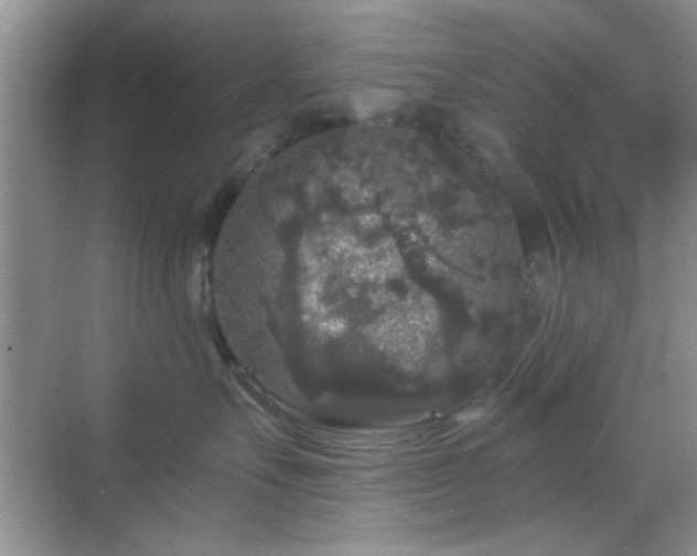 X0000068810527200605081122