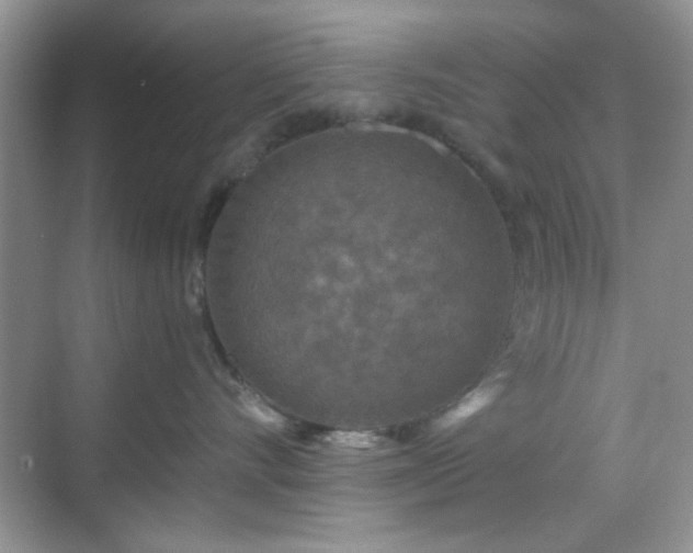 X0000068810528200605081122