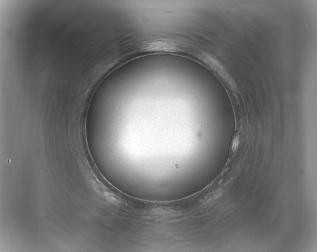 X0000068810529200605081122